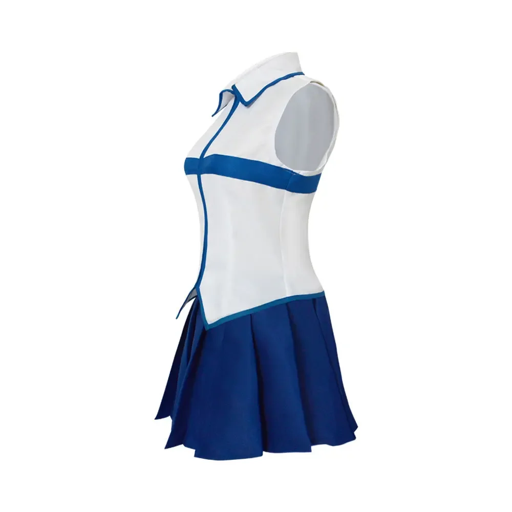 Fairy Tail Blaues und weißes ä – Anime And Cosplay Expo 2025 Bewertung und Preis